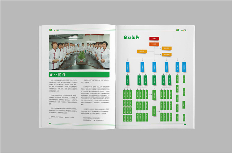 企业宣传画册设计案例,上海企业宣传册设计制作,上海宣传画册设计公司