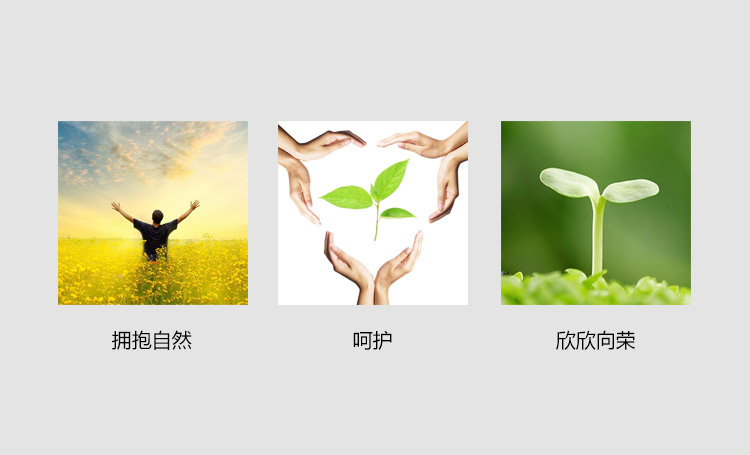 HUGREEN logo设计,HUGREENlogo设计案例,HUGREEN 标志设计案例