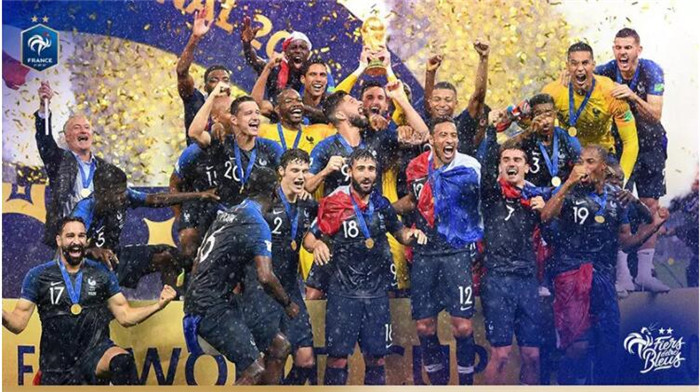 2018世界杯——法国足协升级国家队logo设计